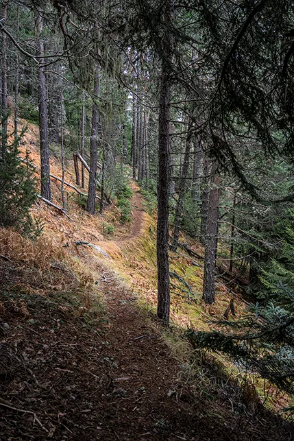 Bild 22
