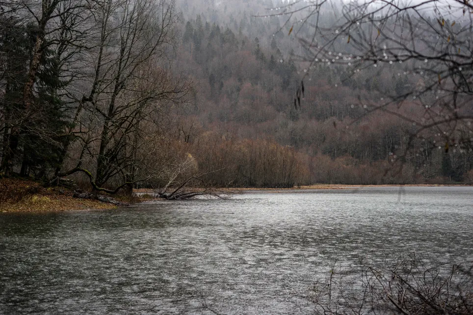 Bild 73