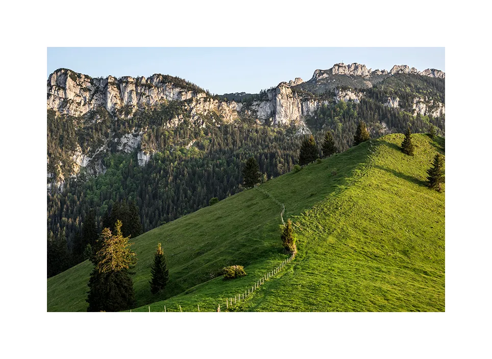 1007-01 · Erlberg I · Kampenwand, 2023