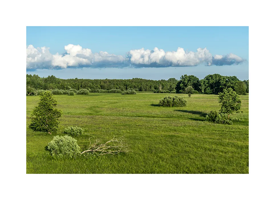 Nationalpark Soomaa