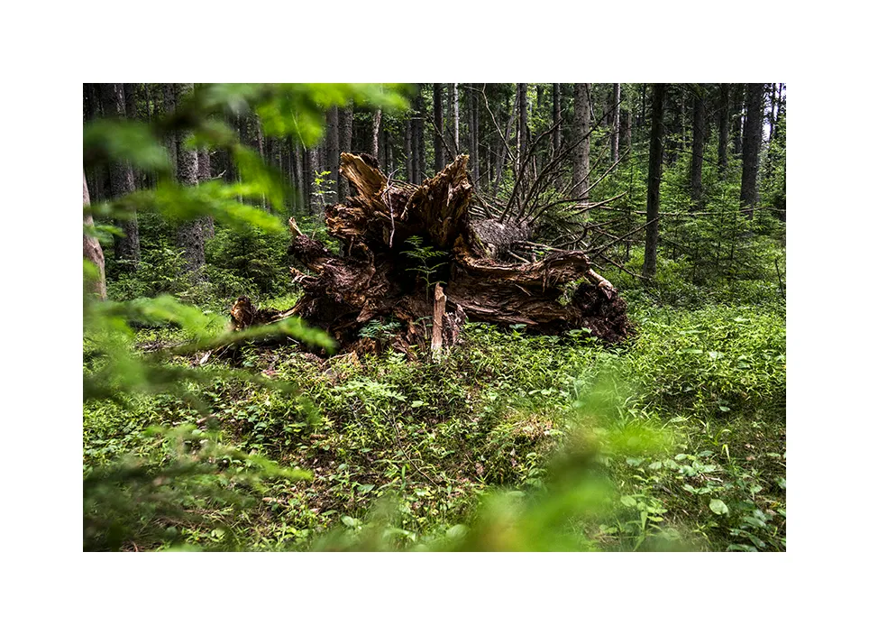 Nationalpark Lahemaa