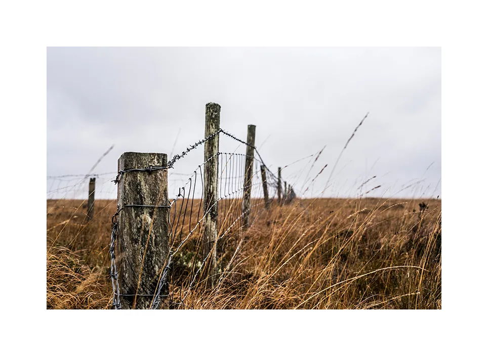 11 · Wild Nephin National Park · Irland, 2021