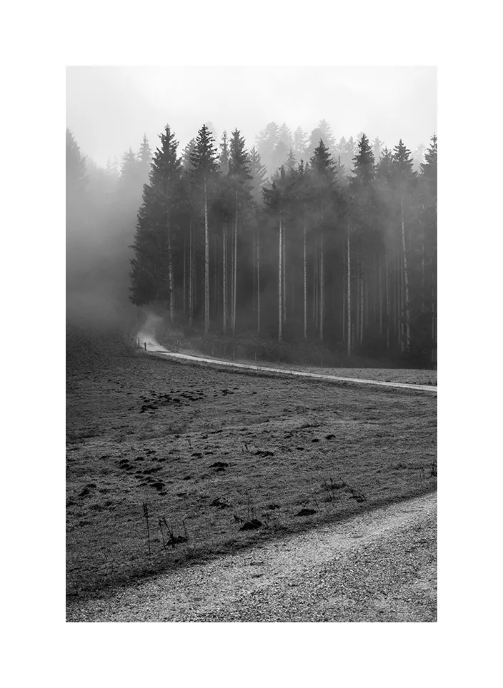 1002-11 · Weg im Nebel · Deutschland, 2022