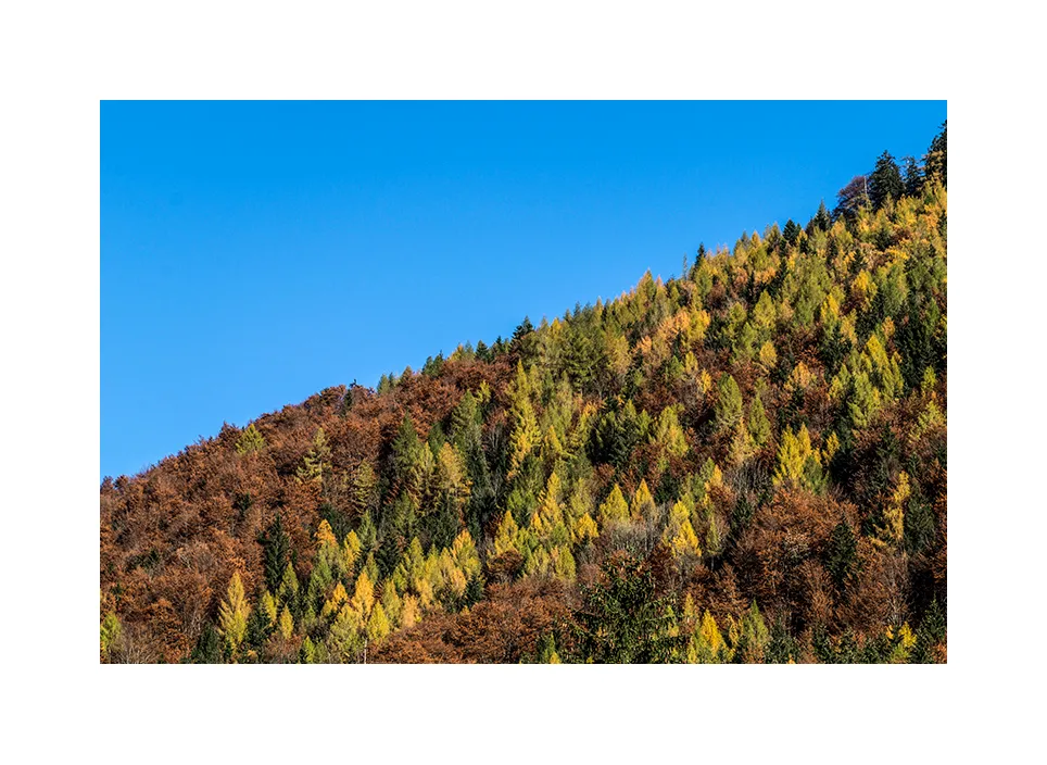 Naturschutzgebiet Östliche Chiemgauer Alpen