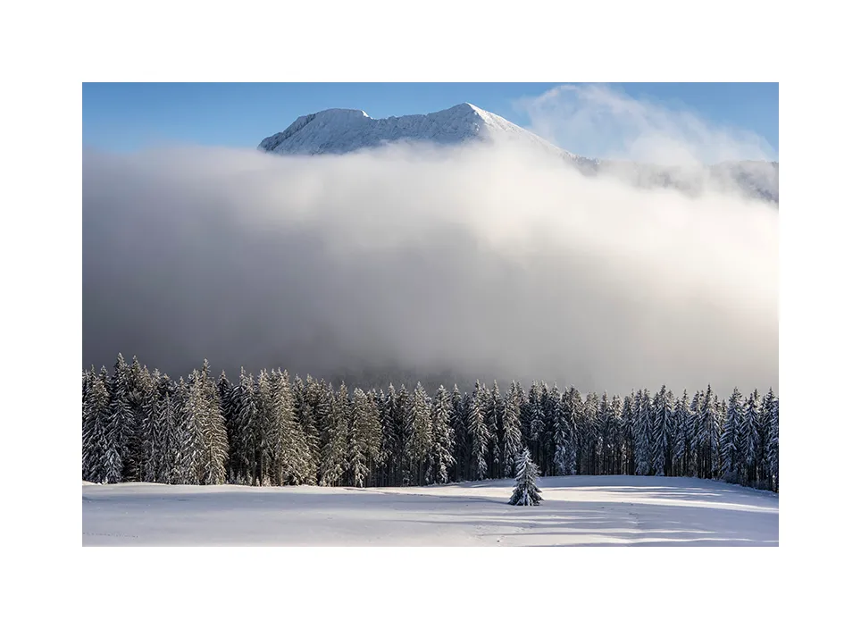 1007-13 · Bäckeralm · Teisenberg, 2018