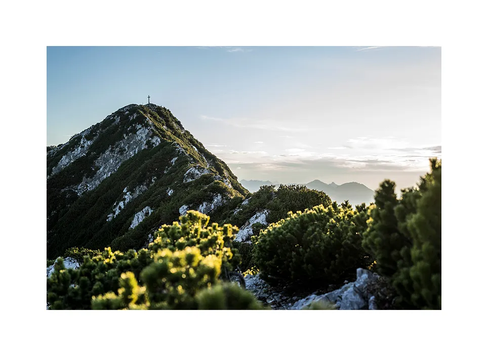 1007-14 · Gamsknogel · Staufen, 2020