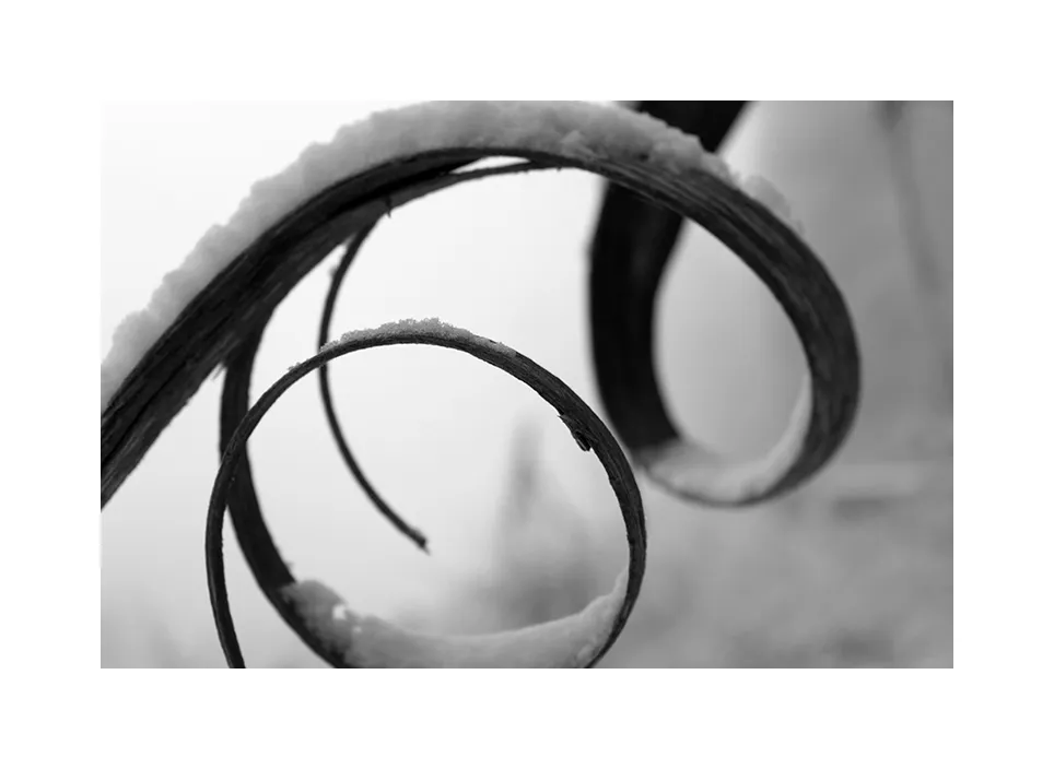 1002-16 · Spirale im Schnee · Deutschland, 2016