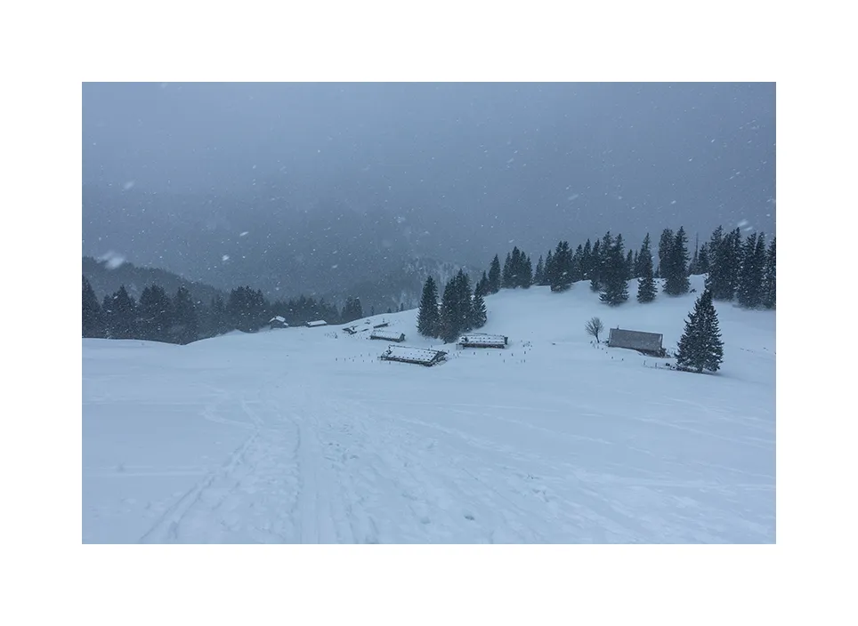 1007-19 · Haaralm · Hochfelln, 2020