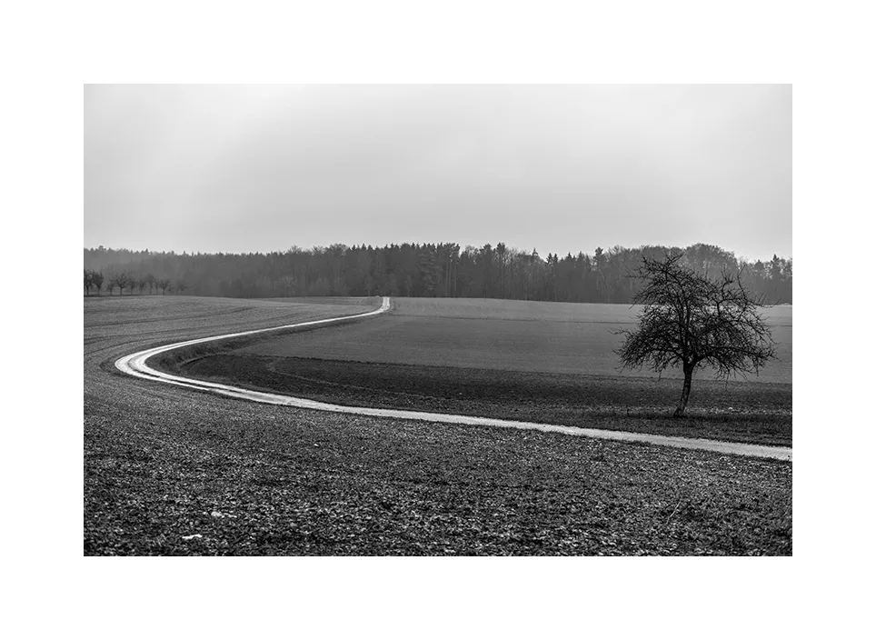 1002-23 · Einsamer Weg · Deutschland, 2019