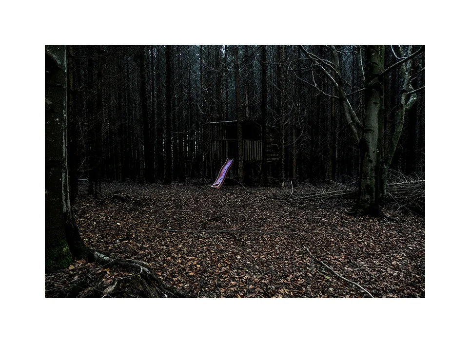 1002-26 · Rutsche im Wald · Deutschland, 2023