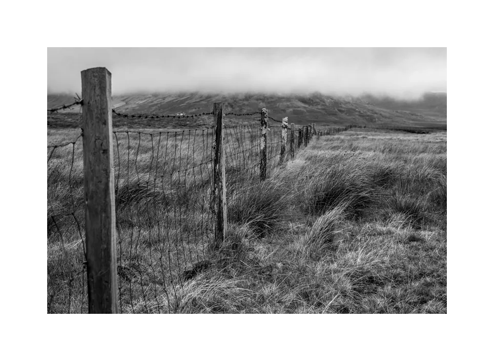 1002-03 · Zaun im Moor · Irland, 2021