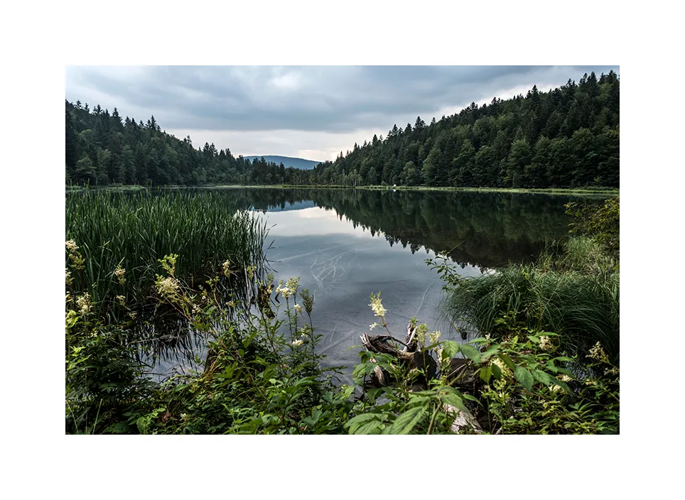 1007-05 · Frillensee I · Staufen, 2019