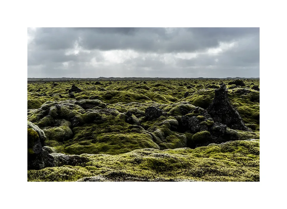 1011-06 · Brunahraun · Island, 2016