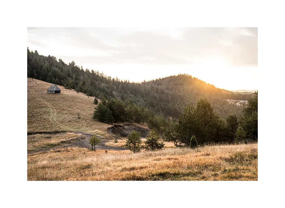Nationalpark Tara