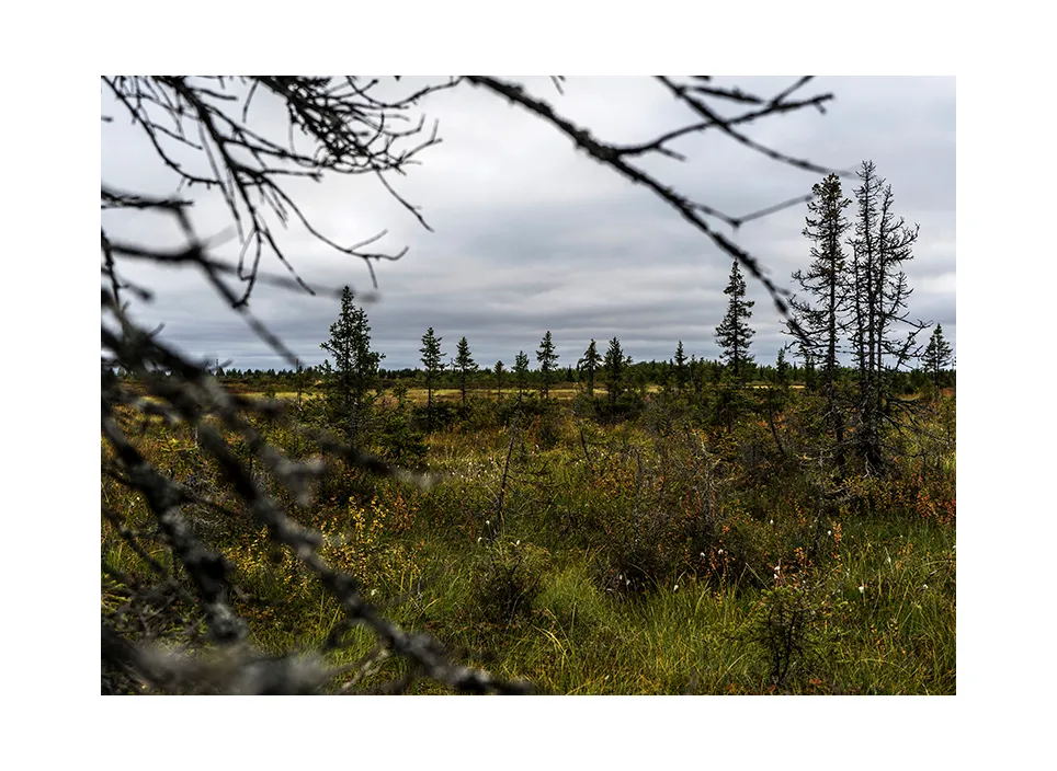1011-08 · Abez · Russland, 2019