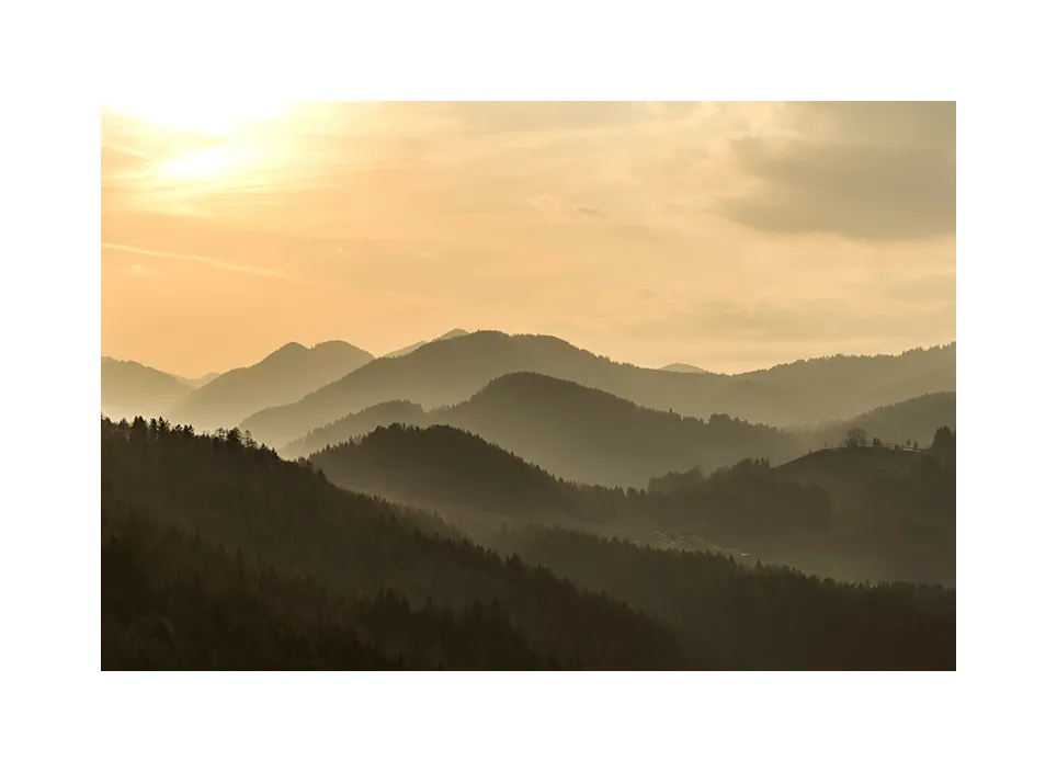1007-09 · Falkenstein I · Inzell, 2021