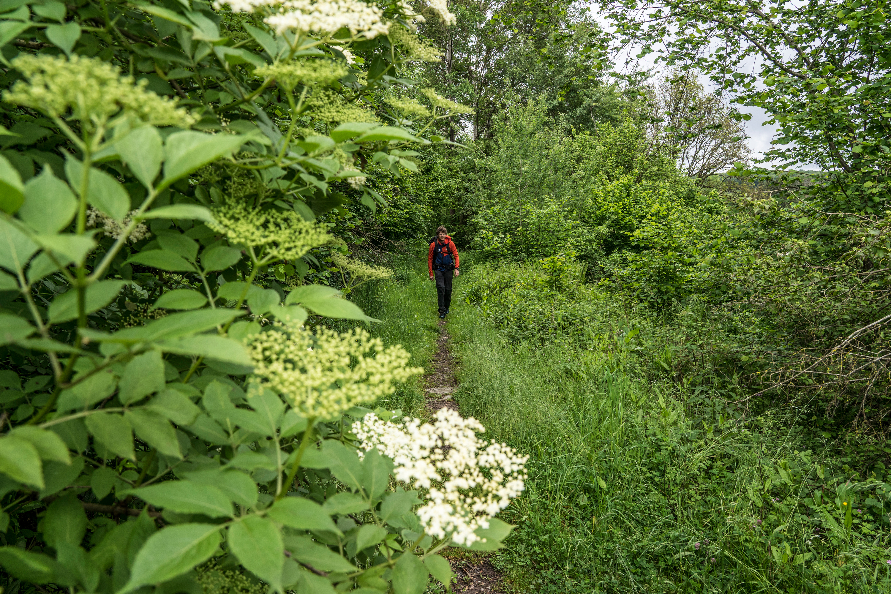 Tourenbericht: Schinderhannespfad