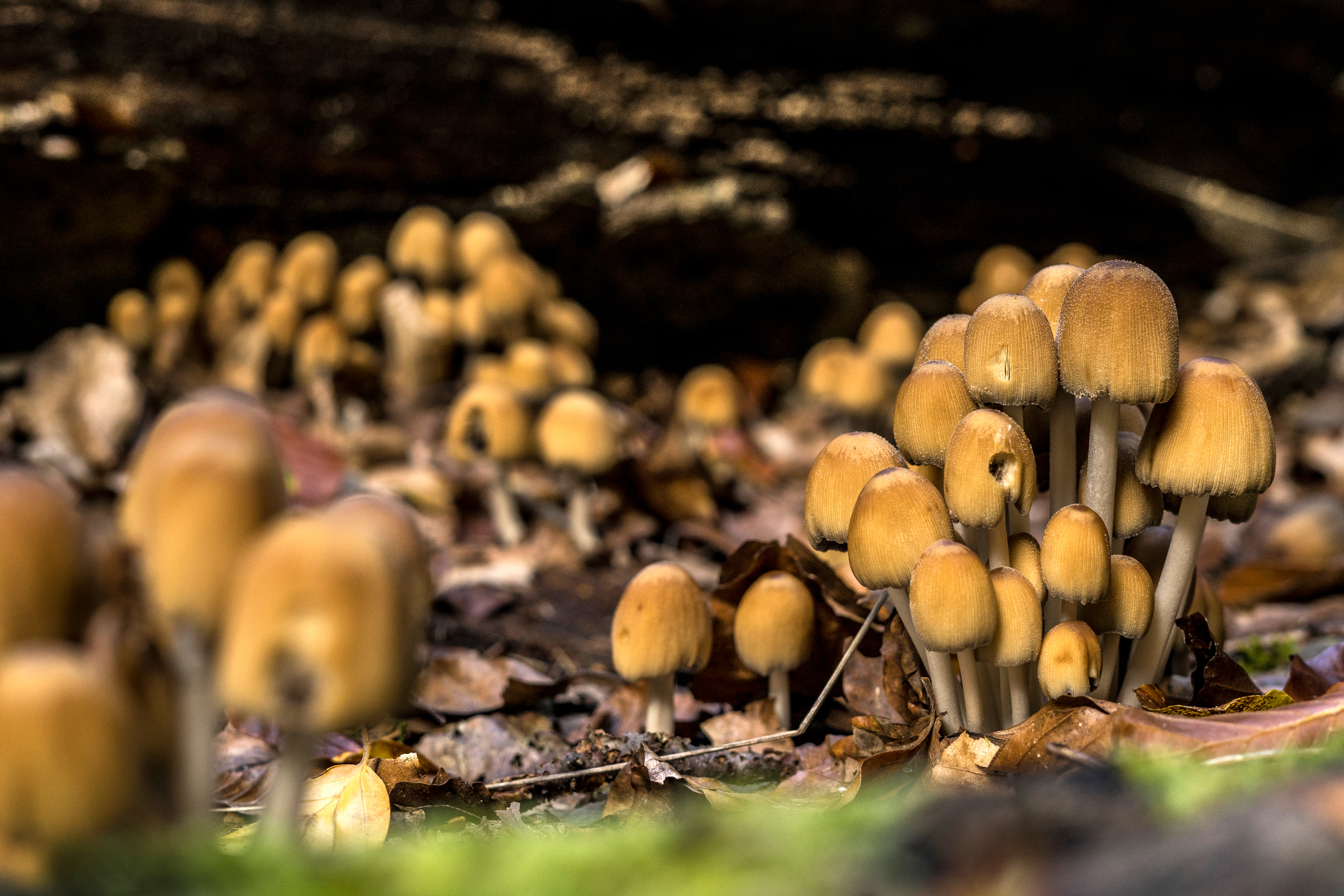 Tourenbericht: Nationalpark Kellerwald-Edersee