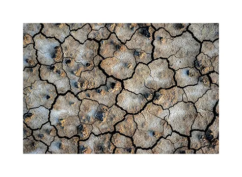 Ground