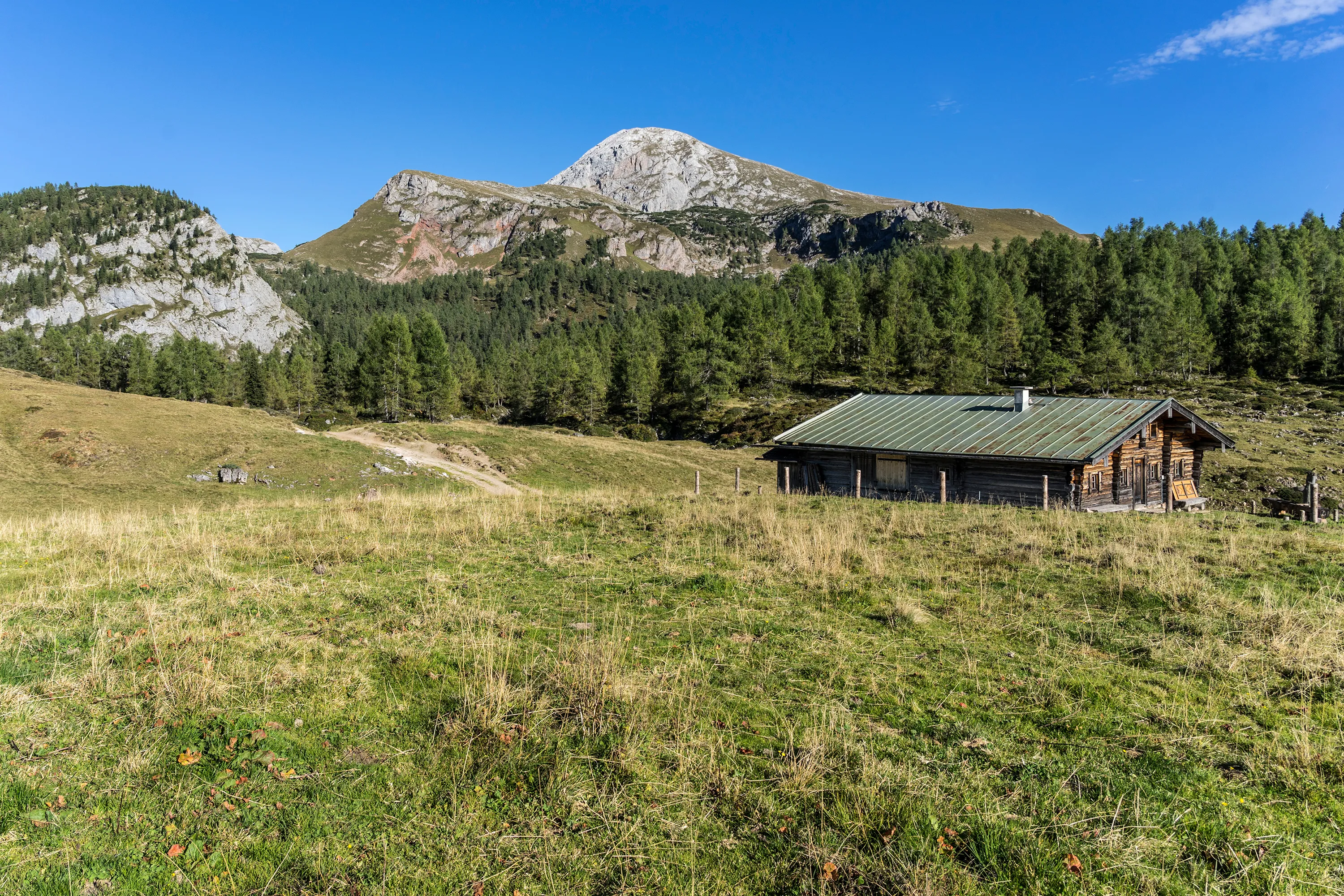 Bild 11