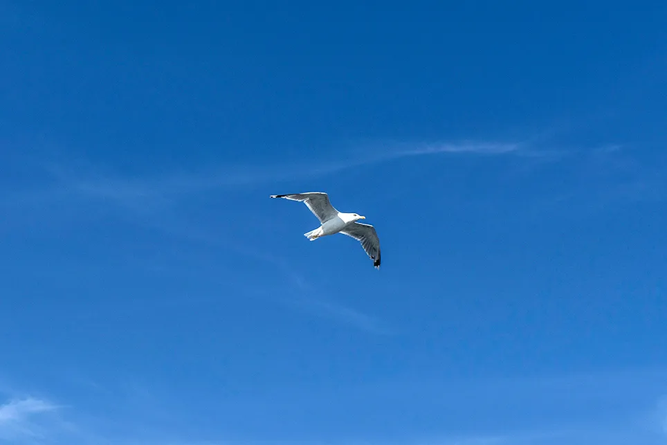 125