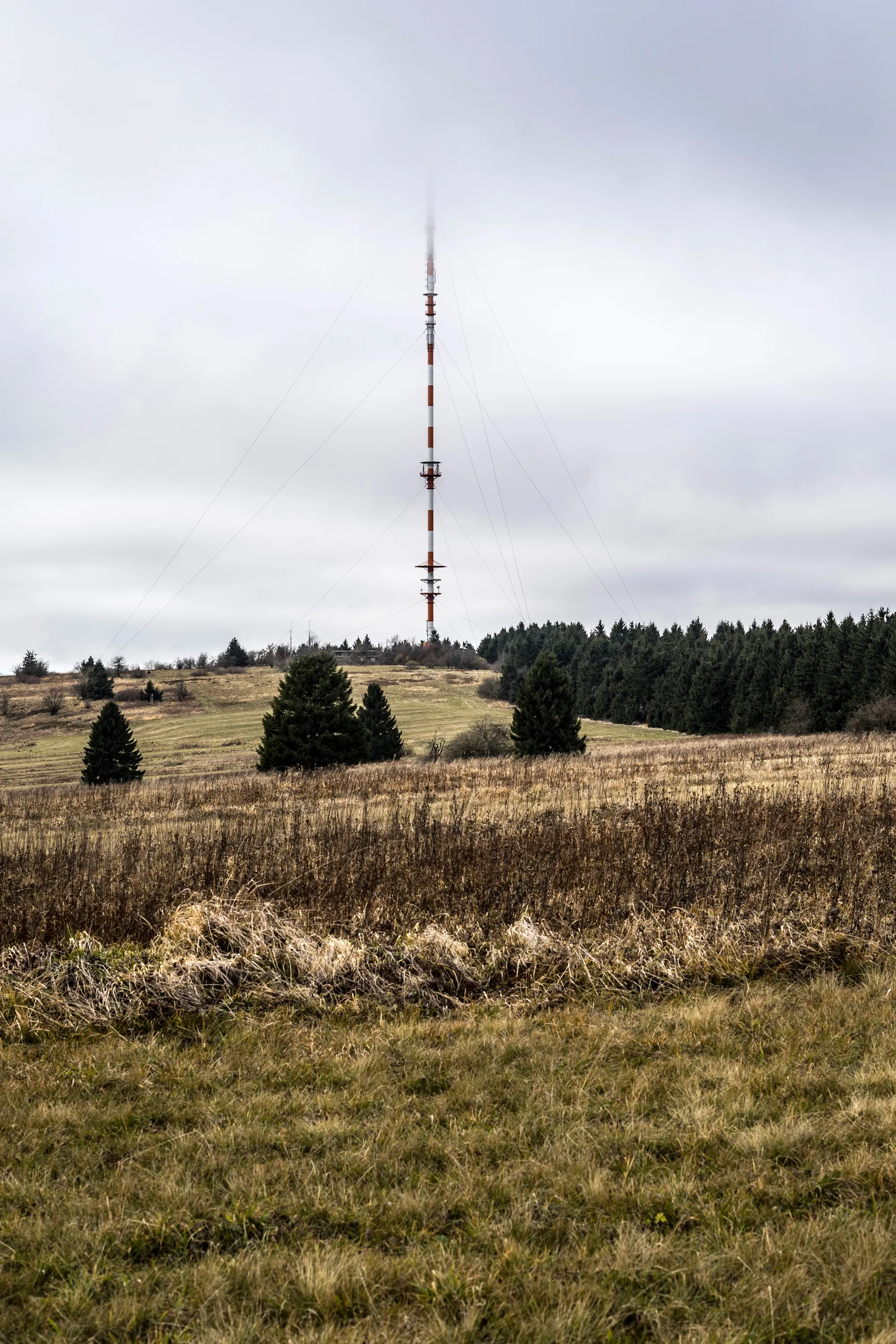 Bild 14