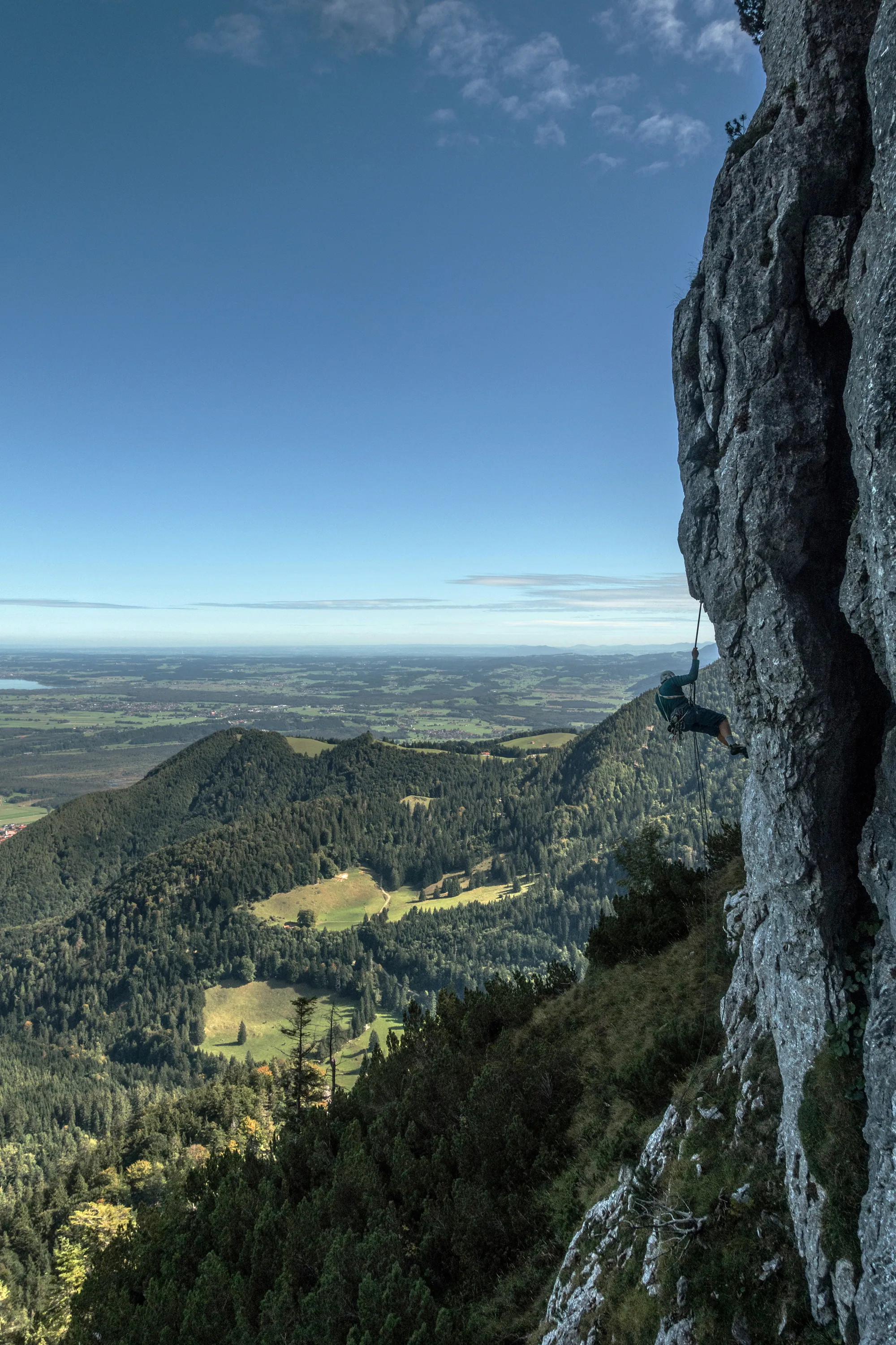 Bild 15