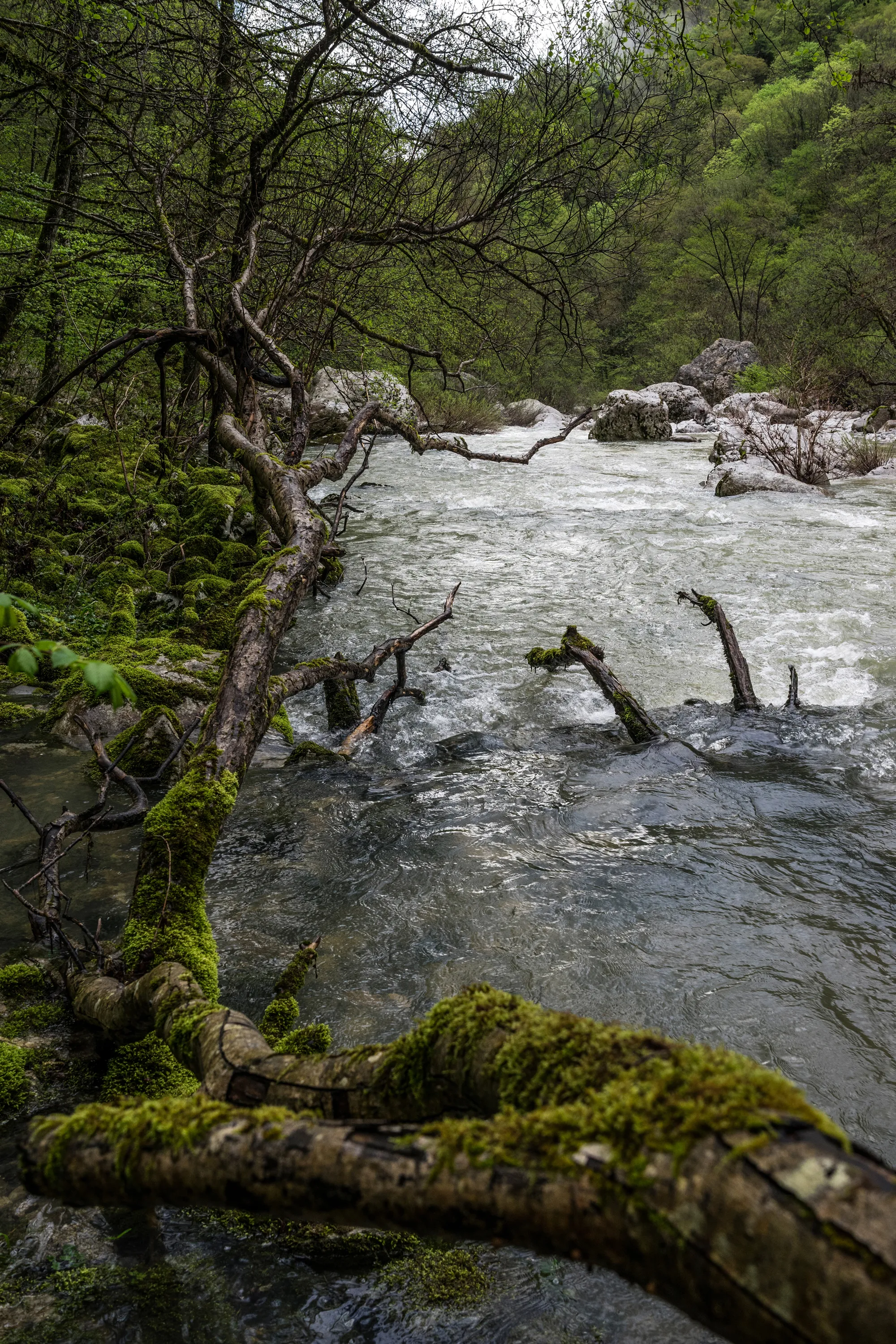 Bild 15