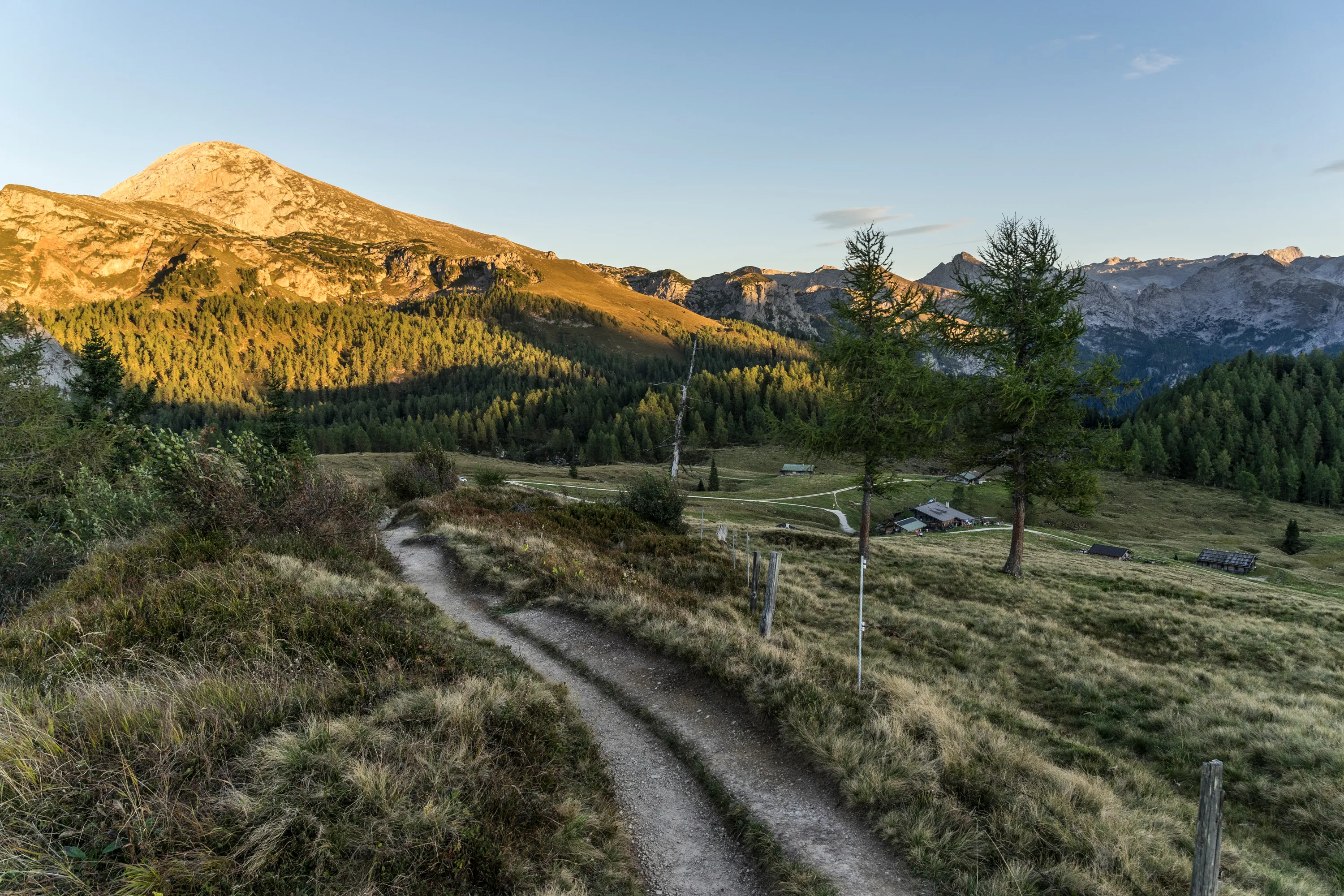 Bild 19