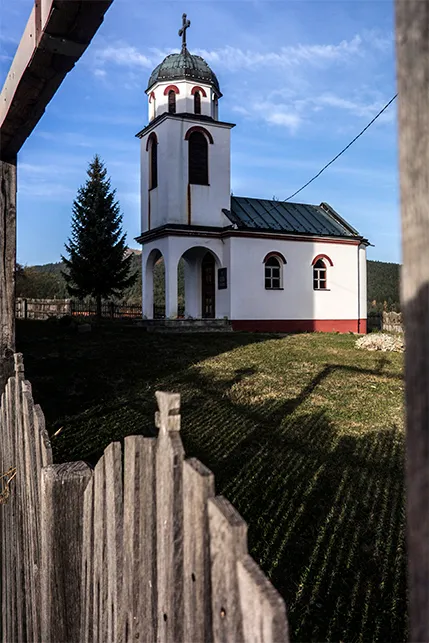 29