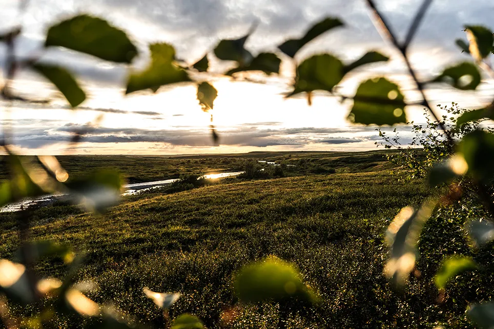 84