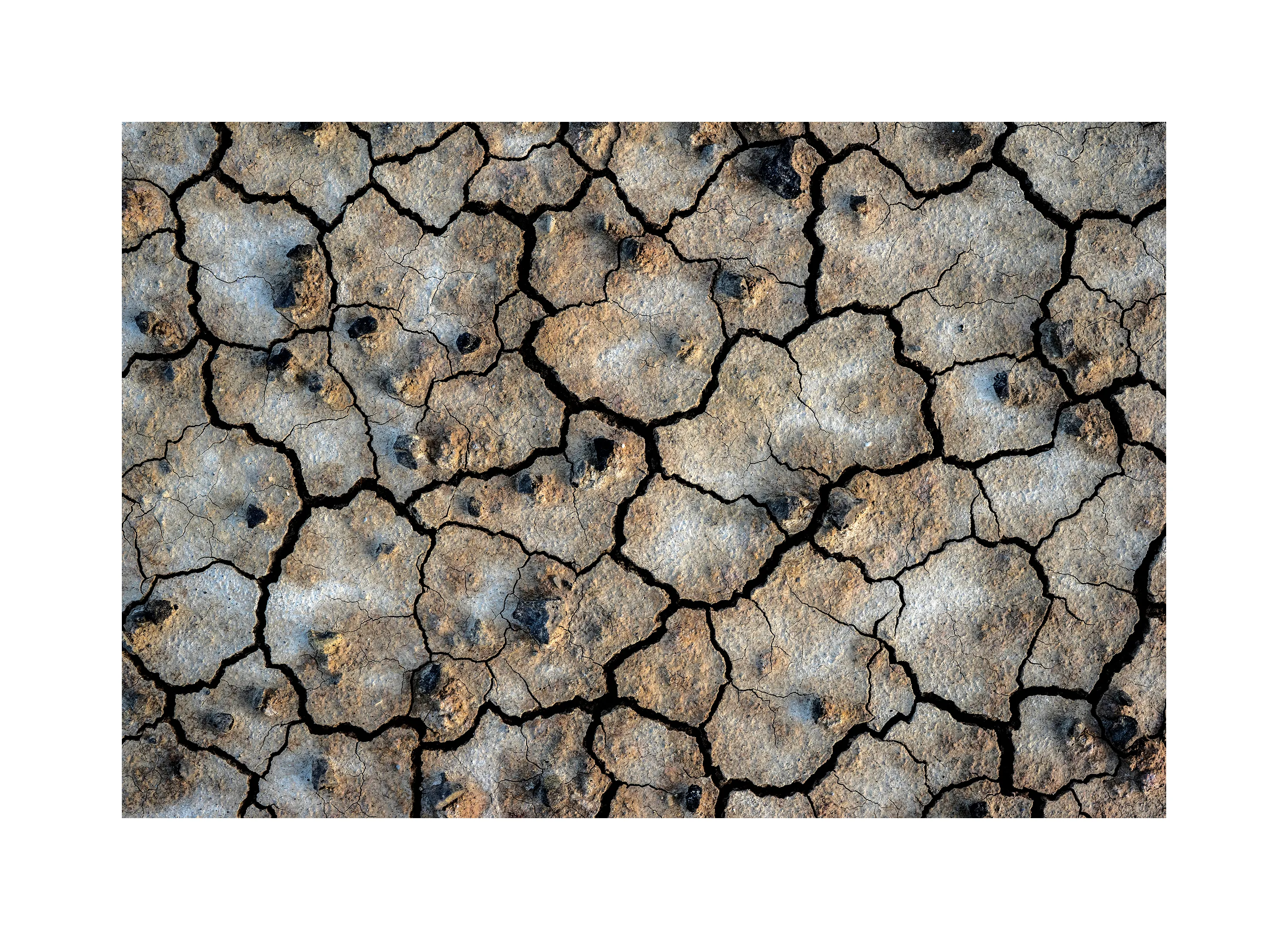 1000-10 · Bardenas Reales I
