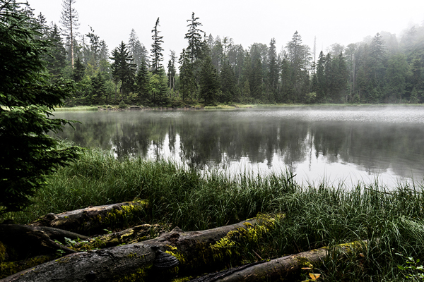Grenzkammweg-Bayerischer-Wald