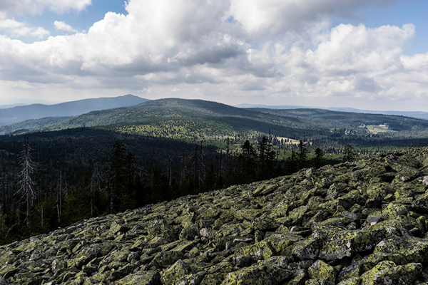 Grenzkammweg-Bayerischer-Wald