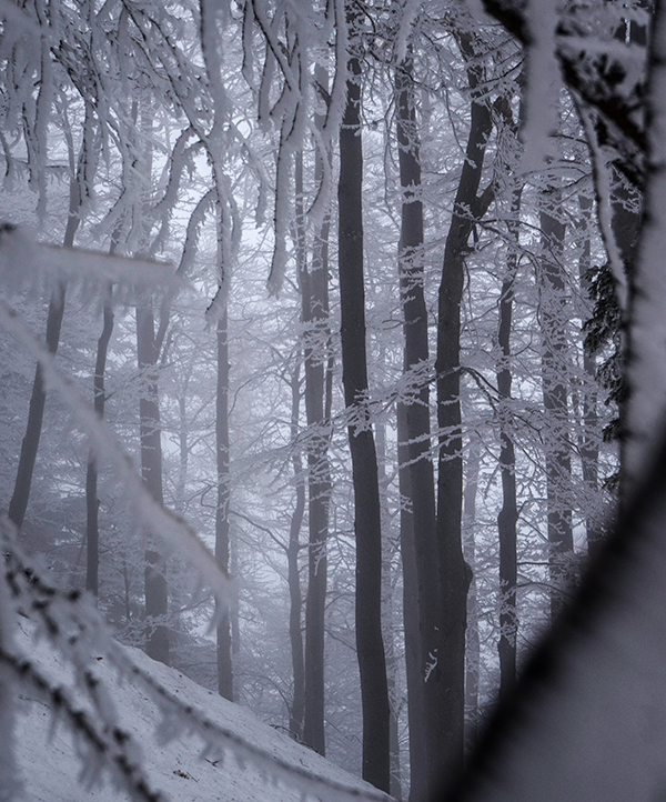 Hochstaufen-Nordwand-Winter-Chiemgau