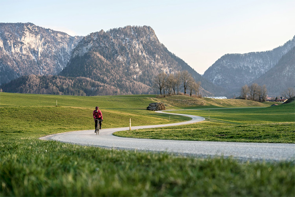 Quaeldich-Kalender-2021