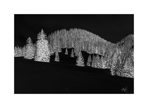 Winter in den Chiemgauer Alpen in Ruhpolding in Schwarzweiß