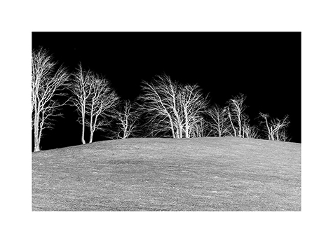 Waldrand in Montenegro in Schwarzweiß