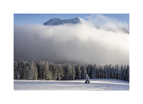 Blick von der Baeckeralm zum Gamsknogel