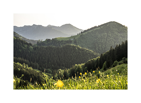 Blick vom Erlberg ueber die Chiemgauer Alpen