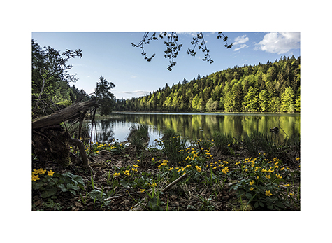 Blick ueber den Frillensee