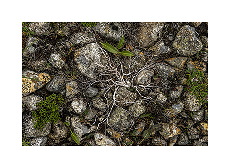 Blick auf den kargen Erdboden im Polarural in Russland