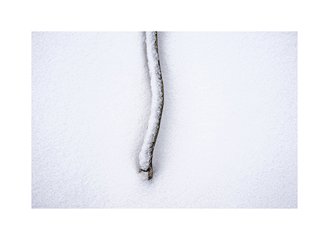 Ast im Schnee in der Rhoen