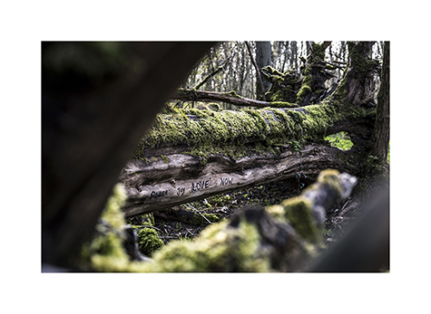 Peace, Joy, Love, Now als Spruch auf einem umgestuerzten Baumstamm in Luxemburg