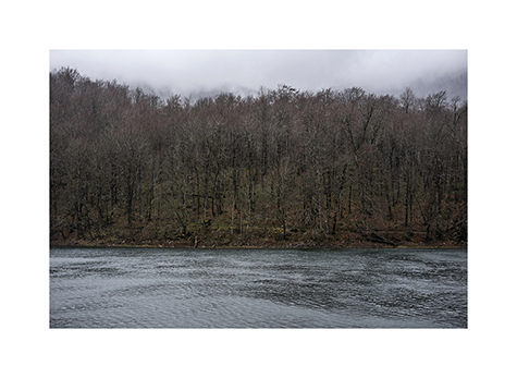 Wald und See im Nationalpark Biogradska Gora in Montenegro