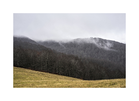 Buchenurwald im Nationalpark Biogradska Gora