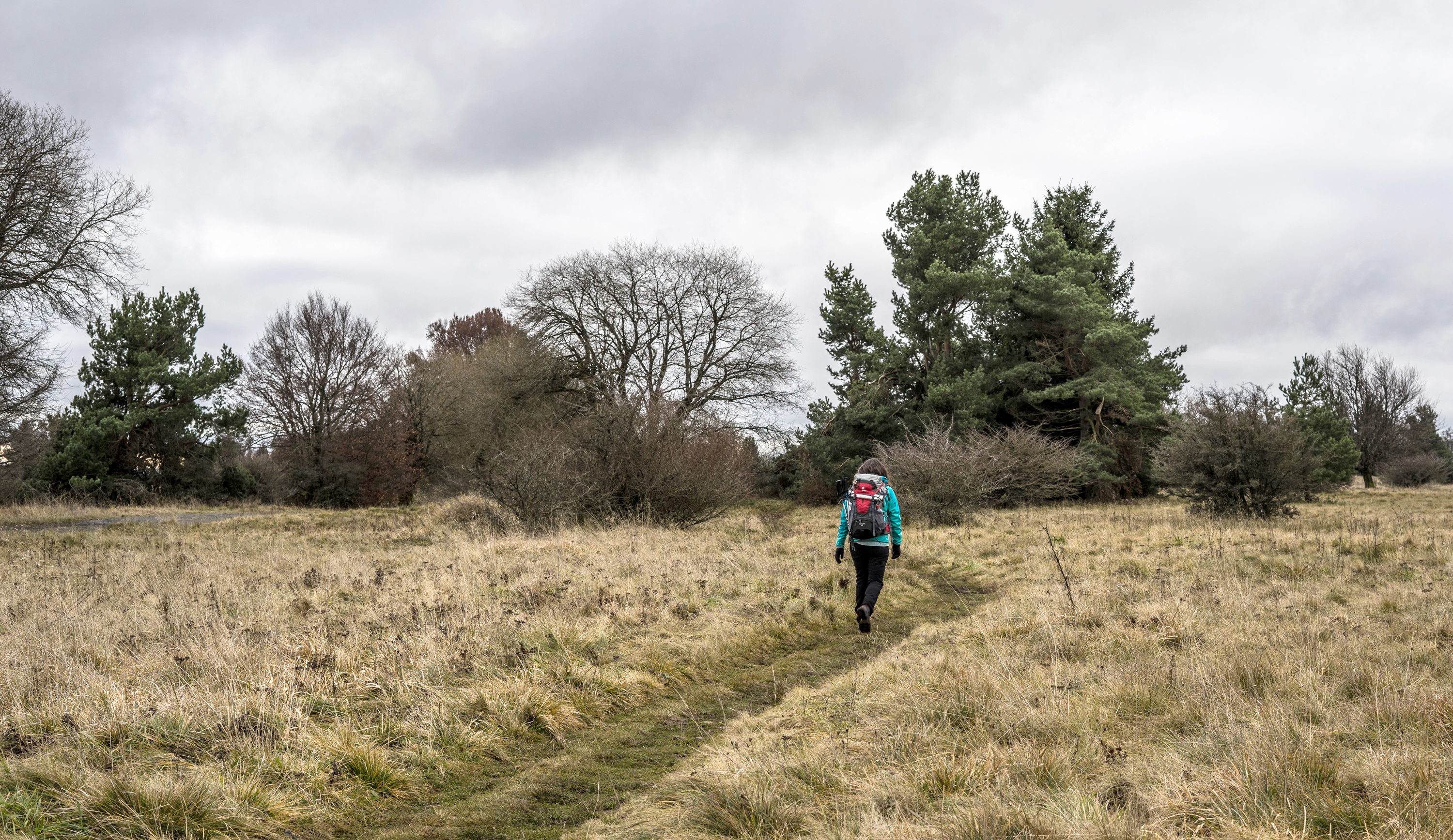 Wandern auf dem Hochrhöhner als Einstieg in die Tourenberichte von Sebastian Steude