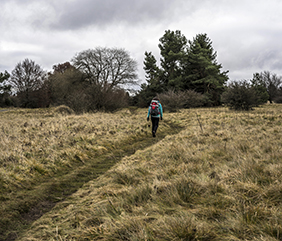 Hochrhöner-Rhön Ein Wanderer auf dem Hochrhoener