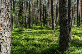 Fotos-Radreise-Baltikum