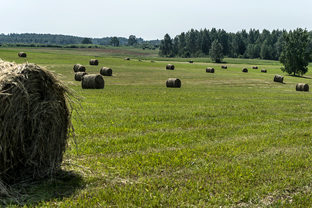 Fotos-Radreise-Baltikum
